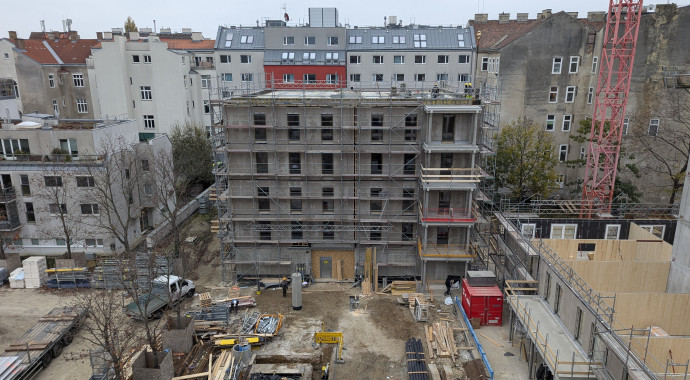 PXL_20241112_140916951
